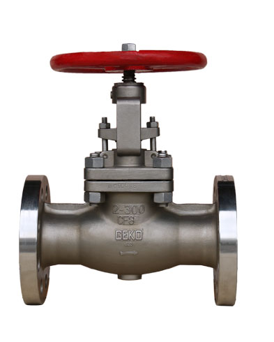 A Globe Valve